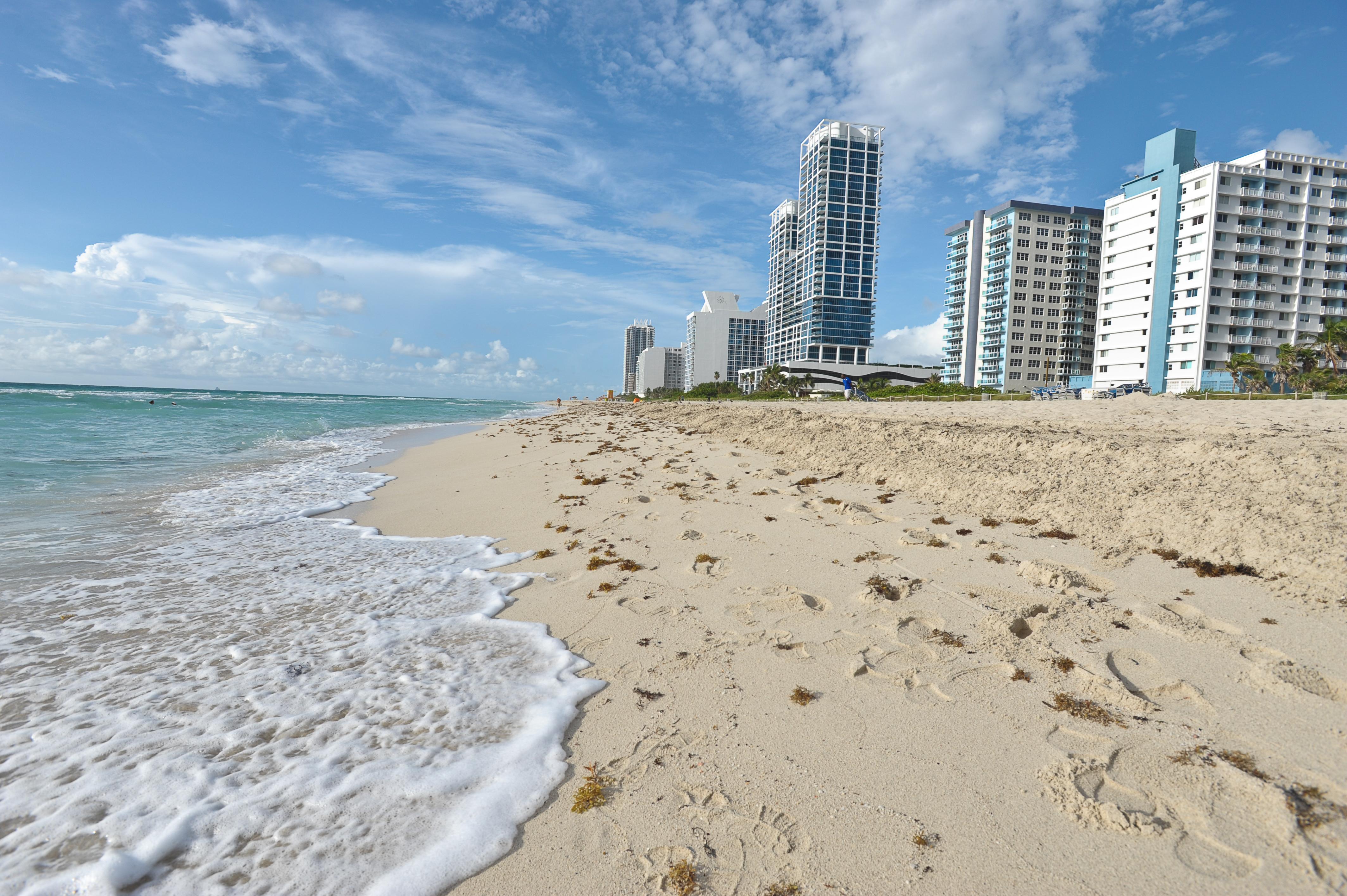 Crystal Beach Suites Miami Oceanfront Hotel Miami Beach Natur billede